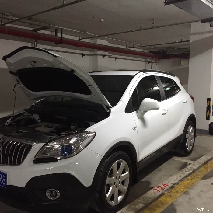 【图】白胖白胖的白富美