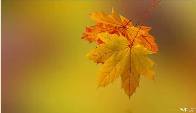 【图】尊重,是最好的修养_经销商论坛