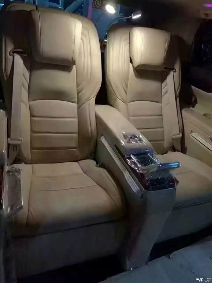 【图】蒙娜丽莎版埃尔法为啥这么贵