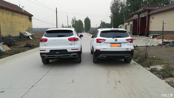 【图】盼了你那么久,我等你那么久。_哈弗H6