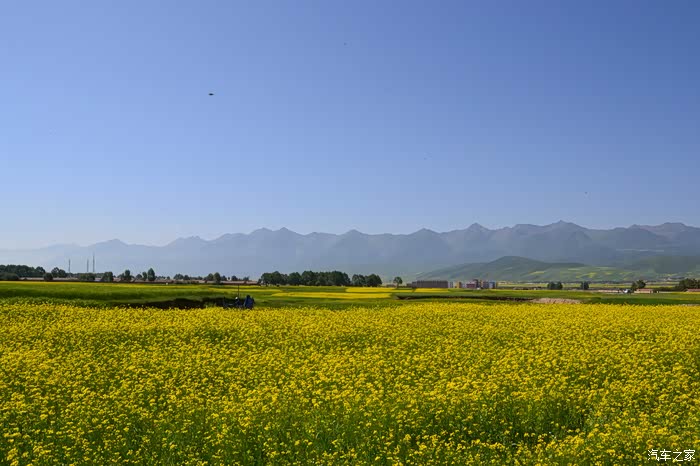 七月是花开的季节漫上个花儿解个心中的忧