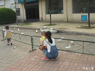 开车带儿子去绿城广场喂鸽子_自驾游论坛_手机汽车之家