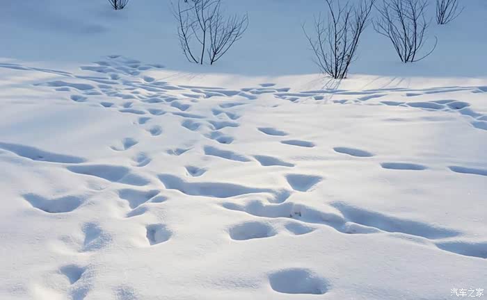【图】我的大东北,雪都。_启辰T90论坛