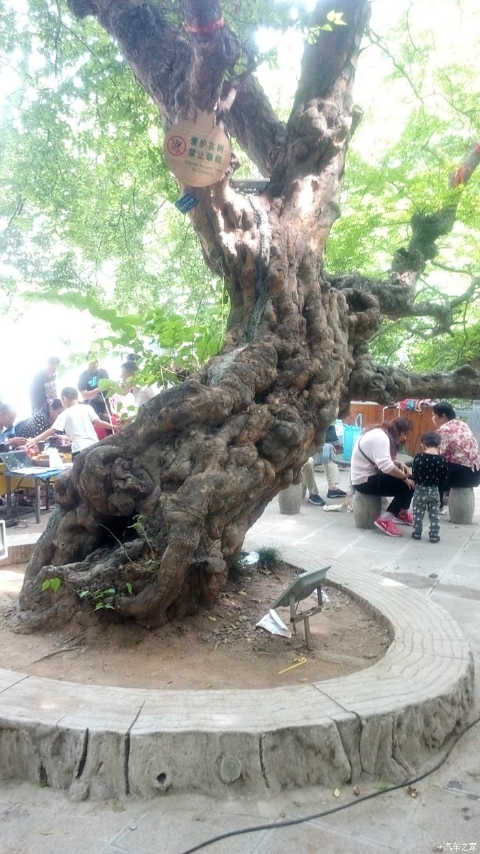 【山东长安车友会】访青檀古寺,谢长安惠赠