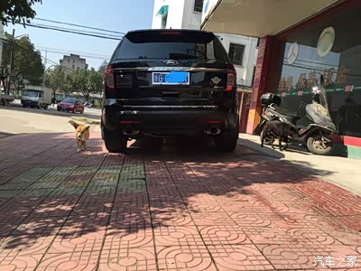 祝愿探友们新的一年车行万里!万事如愿!大发财