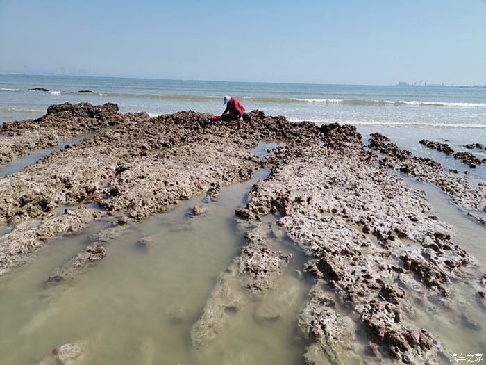 五一快乐,素有"峙海金狮"之称深沪湾游记