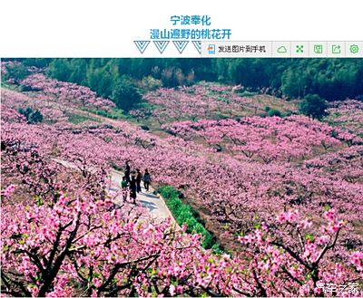 又到赏花季,然而97%的人却不知道中国最美的