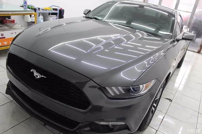 大灰马改色惊喜+ 一年骑马感受 求精！