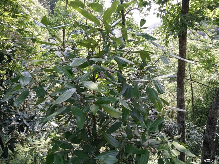 【图】山里终于铺上了水泥路(多图)