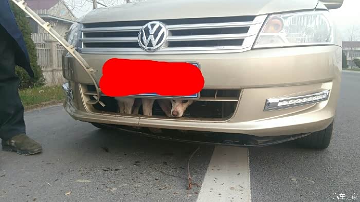 【图】新桑塔纳乞丐版加装雾灯!_桑塔纳·尚纳