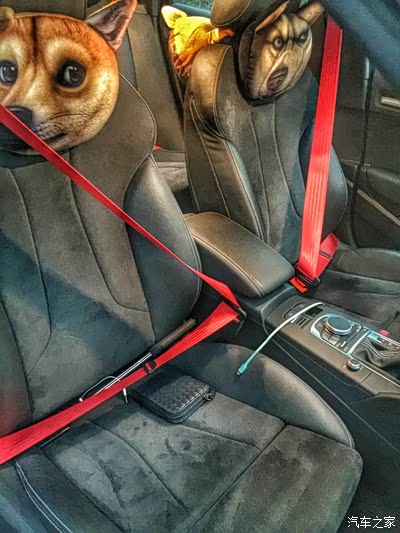 南京S3提车半年手机随拍~求认证。_奥迪S论