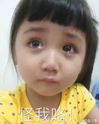 好纠结求各位帮帮忙买1.5还还是2.0好啊?_比亚