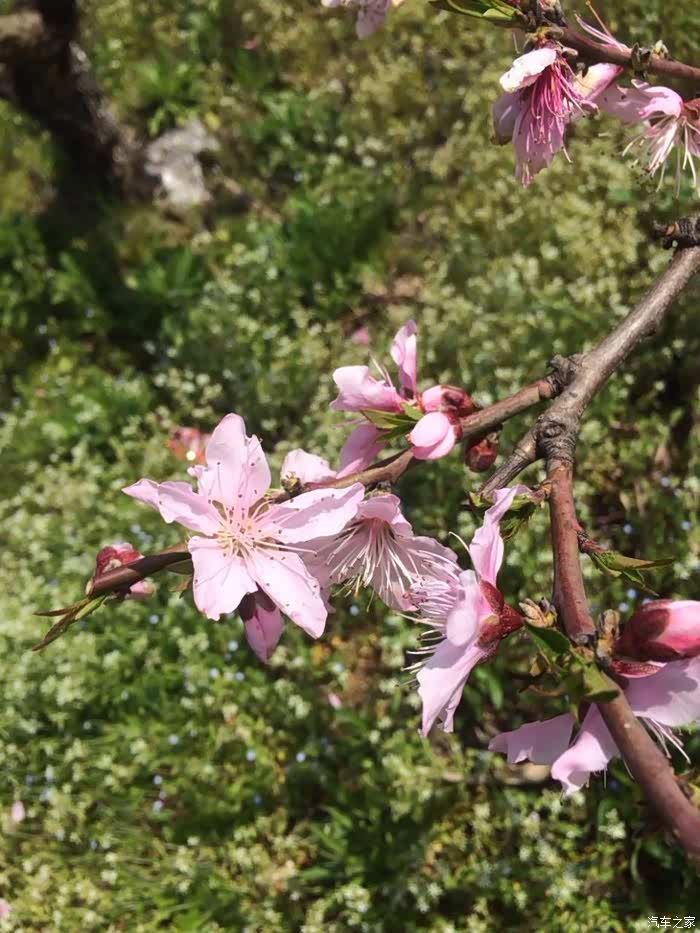 【图】我和你说 你听不听_汉腾X7论坛_汽车之