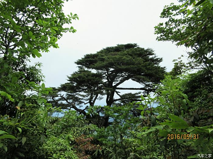 梵净山——西线登山在路上(上)