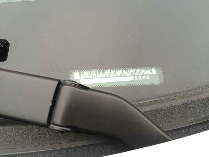 【图】一直在奋斗 福睿斯见证我的梦