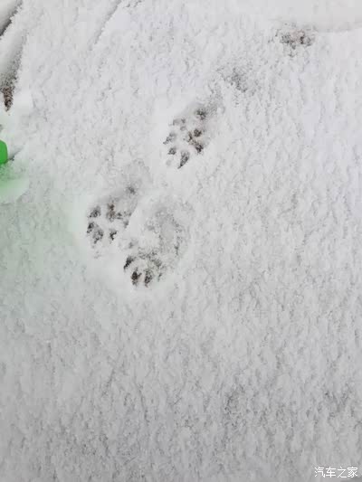 2016春运 H5 柴油 来回2600公里 雨雪 山路 小