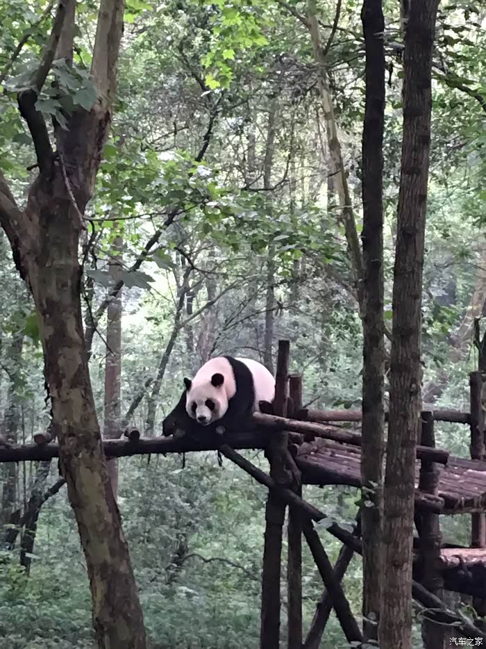 我开车从西安到成都了,四川自驾游。