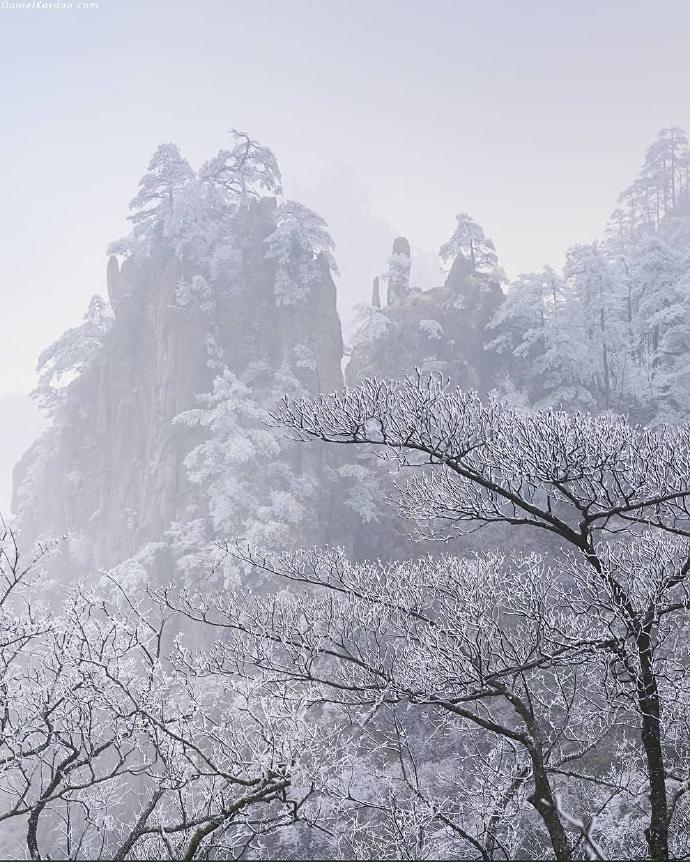 黄山雪景 黄山一夜雪,渭水雁声多!