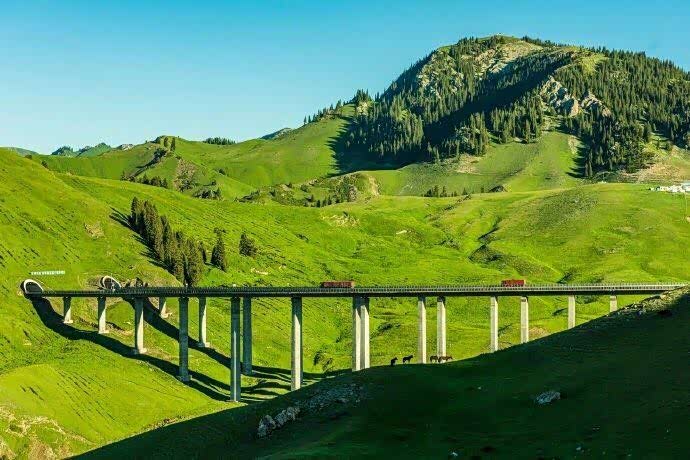 吉利gx8论坛_手机