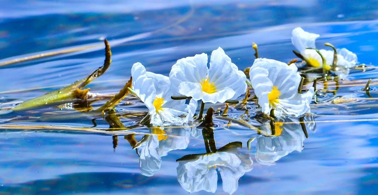 泸沽湖,就喜欢你的水性杨花!