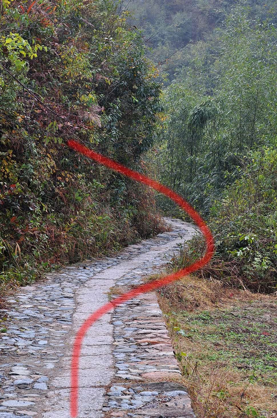 构图方法，也被称之为s形构图法。这种方法通常会用在道路的拍摄画面中。