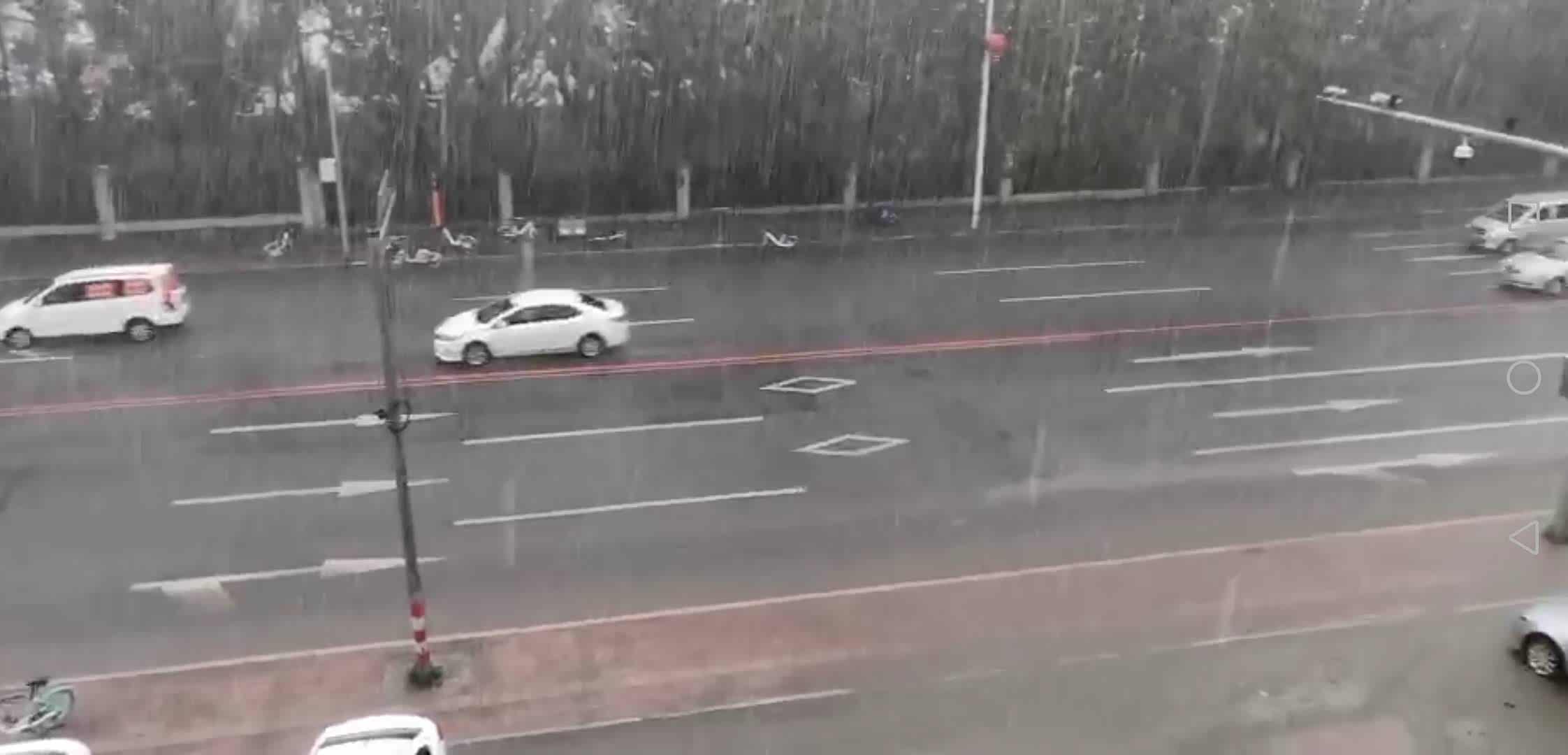 【视频】下大雨了~