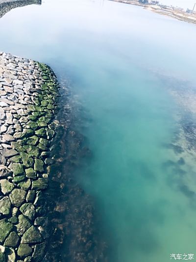 风景这边独好,北海桥,绝艳影(申精)