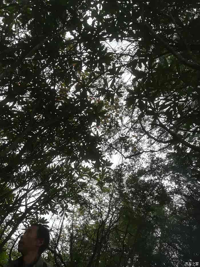 【图】最后的莫西干人:一个差点被灭种的文明