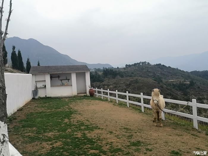 逍客自驾游,青田绿湾山庄约一波