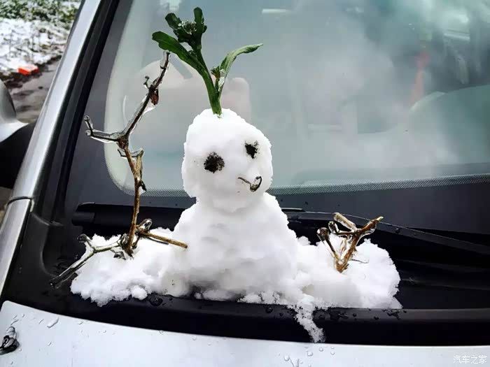 【图】车子被人砸啦!买了车损能报保险吗?