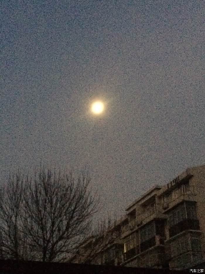 【图】回龙观的毛月亮