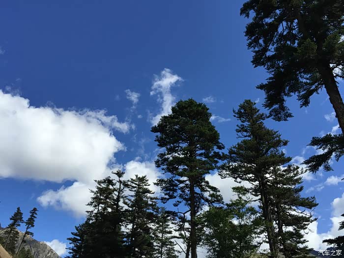 户外随拍大自然 500_wKjBw1djlg2AViSbAA2cdoh5lQM352.jpg