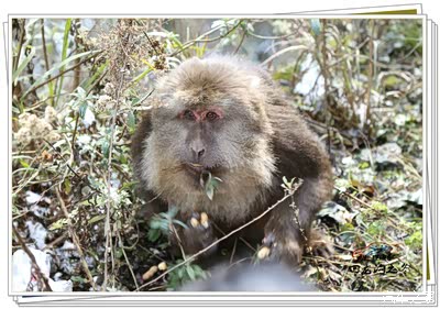 【自由疯2016】-与冰雪相约,彭州回龙沟之行_