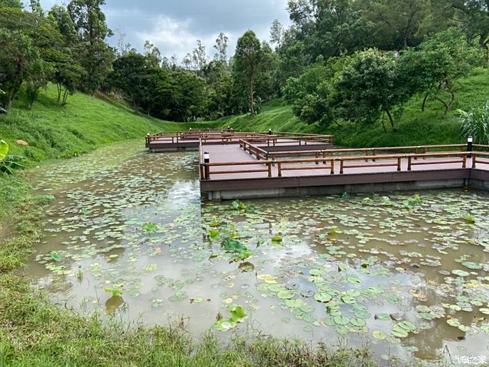 珠海香山湖公园一个网红地