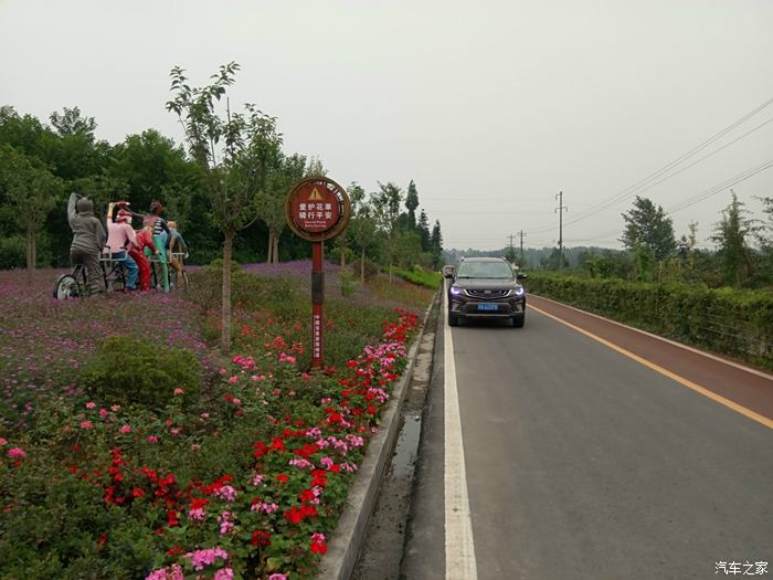 茶韵古乡--远景suv带你走进百里茶廊雅安红草坪