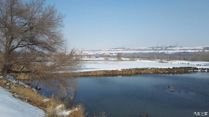 骆驼猜成语_骆驼祥子手抄报(2)