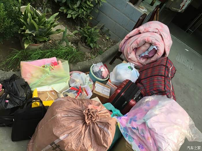 【图】小熊猫搬家记,你说能不能装!_熊猫\/吉利