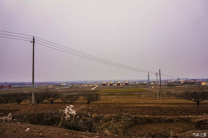 【图】大科 回到大山东