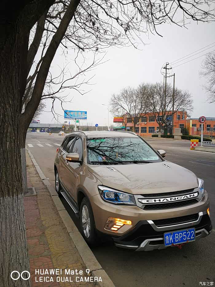 【图】信自己所选,爱它一如初始。(美图贴)_长