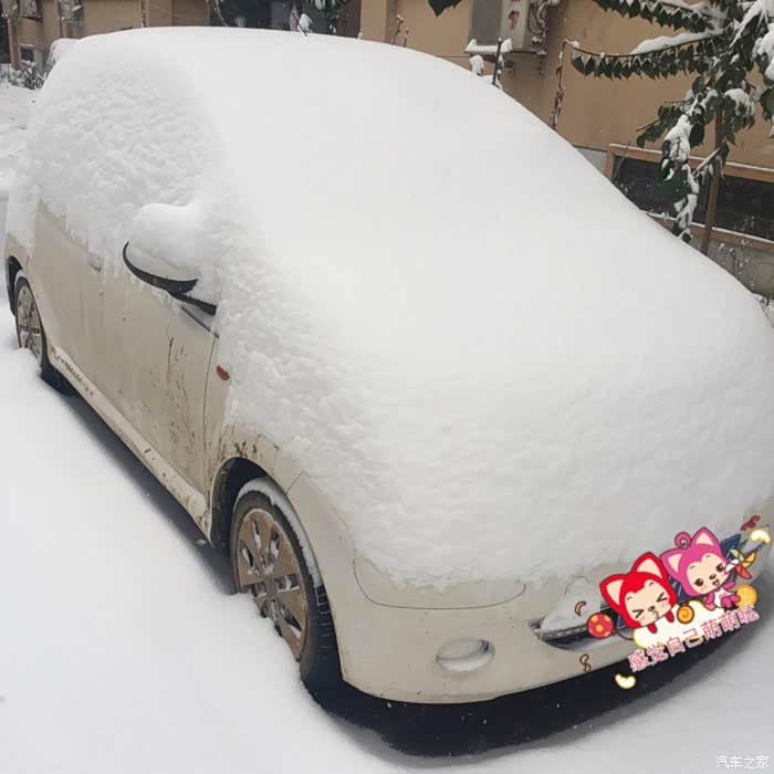 【图】这天气真心冷,蛋蛋成冻蛋了_比亚迪F0论