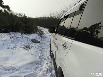 山猫闯东北林海雪原!