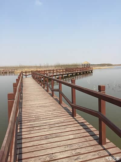 参加论坛活动--陪女神逛公园_天津_手机汽车之