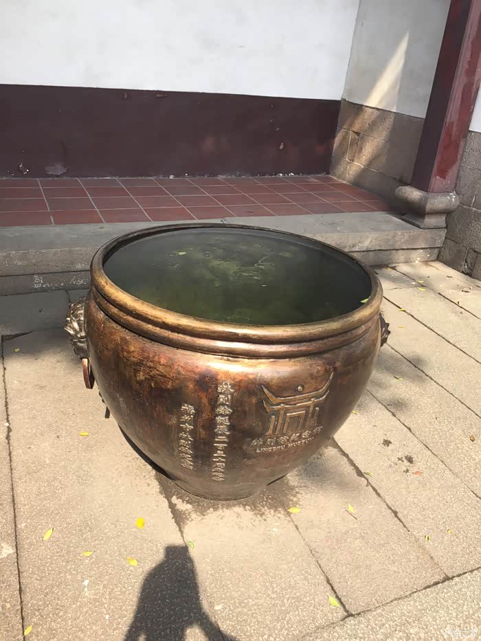 【图】违章记录查询汽车之家的准嘛