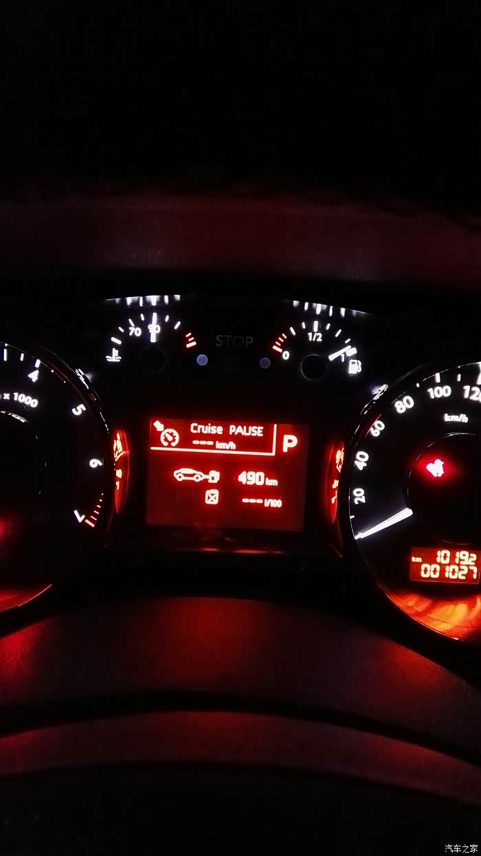 【图】请问这cruise pause是什么意思,怎么