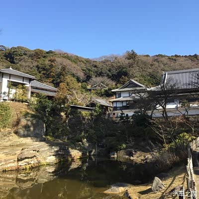 东京人口密度大但街道上车真心少啊,原因是_自