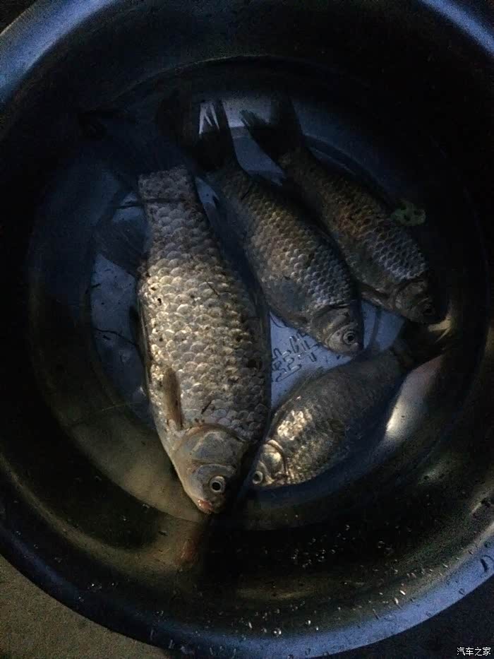 春季气压多少适合钓鱼?