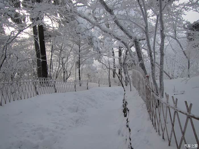 【图】黄山归来不看岳,古人诚不我欺也--瑞虎3