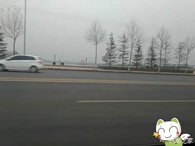 植树节之【大峡谷】,有意义的活动!图多慎入!【