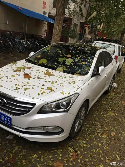 兄弟们的图图跑100迈多少转耶?_名图论坛_手