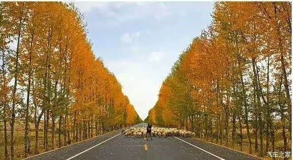 最美国道227线 张掖至西宁